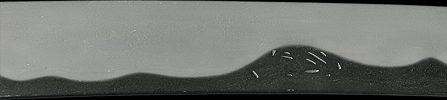 相州住廣正 - Photo 4