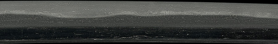 伝千代鶴 - Photo 4