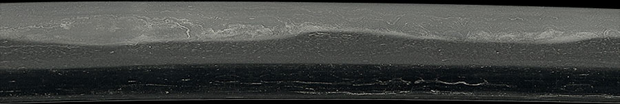 伝千代鶴 - Photo 5