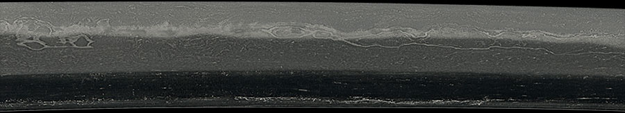 伝千代鶴 - Photo 6