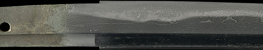 伝千代鶴 - Photo 7