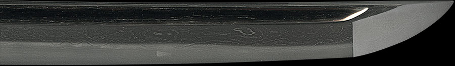 伝千代鶴 - Photo 9