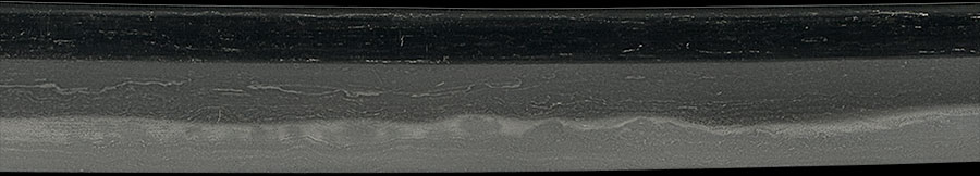 伝千代鶴 - Photo 12