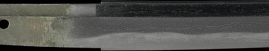 伝千代鶴 - Photo 13