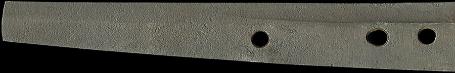 伝千代鶴 - Photo 14