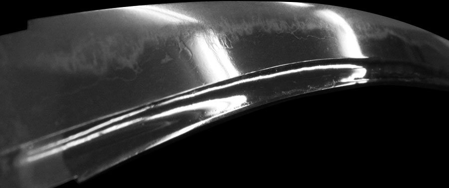 伝千代鶴 - Photo 16