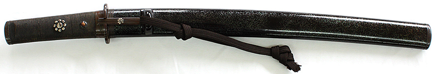 伝宝寿 - Photo 10