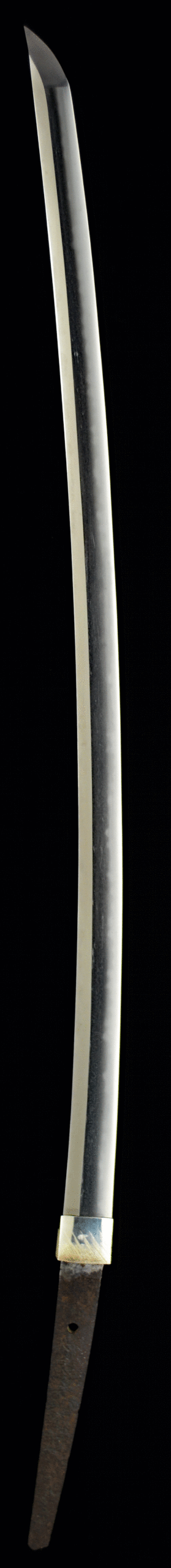 和泉守兼定(十一代兼定) - Photo 23