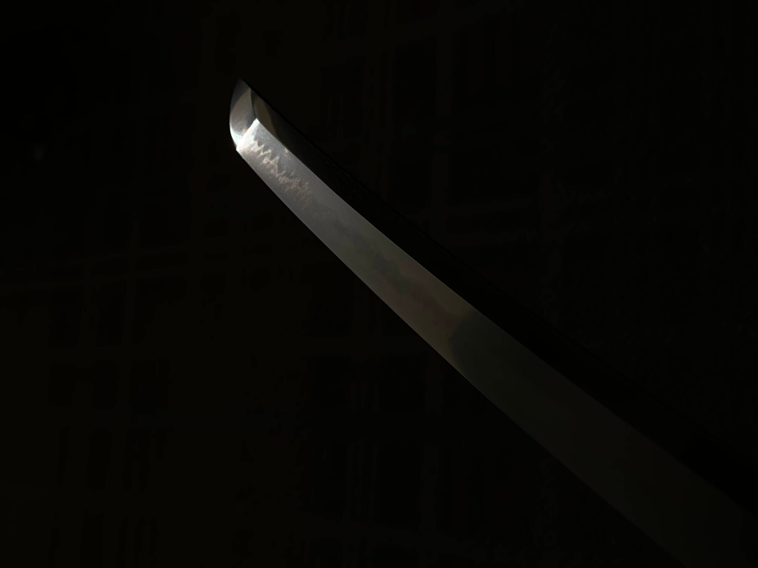 Katayama Ichimonji katana - Photo 14