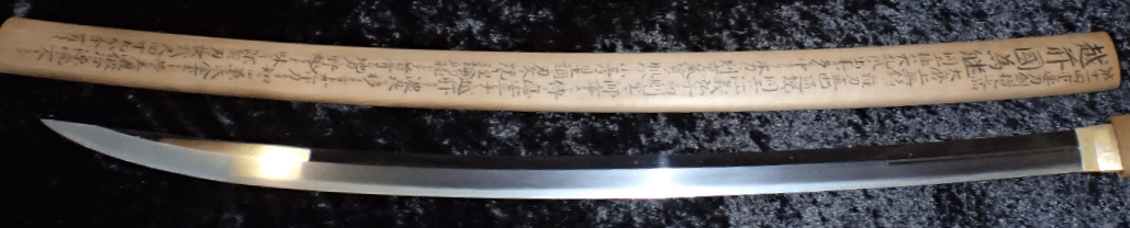 Tametsugu Juyo Token Katana - Photo 25