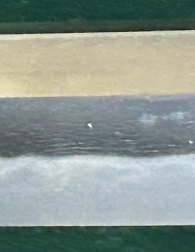 Chikuzen Koretsugu Katana with Nagahisa 2 Body Gold Test. NBTHK Tokubetsu Hozon Certificate. - Photo 26