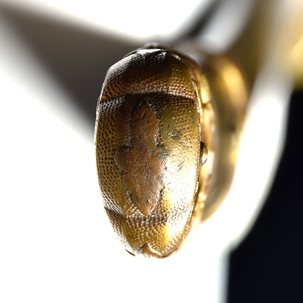 無銘(文珠)- Mumei(Monju) - 2-1280 - Photo 22