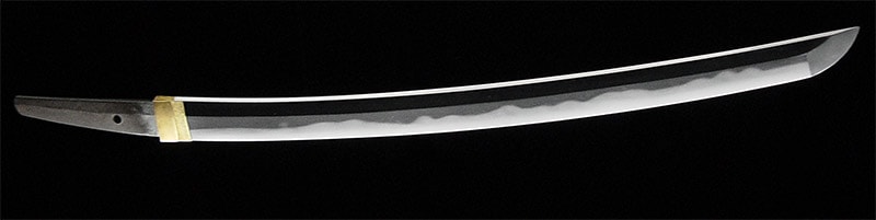 日本刀 ¤ 脇差 ¤ 和泉守藤原国貞 ¤ 上作 ¤ 大業物 - 写真11
