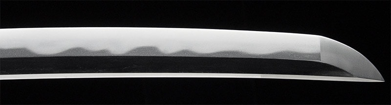 日本刀 ¤ 脇差 ¤ 和泉守藤原国貞 ¤ 上作 ¤ 大業物 - 写真5