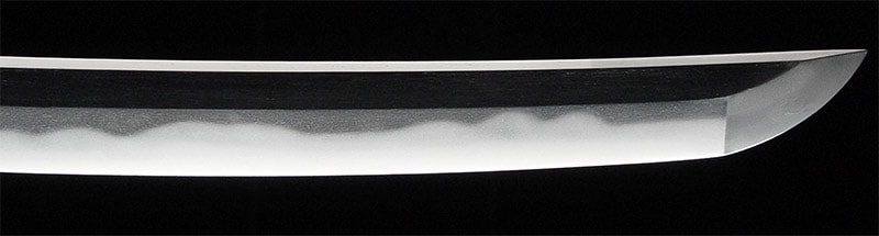 日本刀 ¤ 脇差 ¤ 和泉守藤原国貞 ¤ 上作 ¤ 大業物 - 写真6