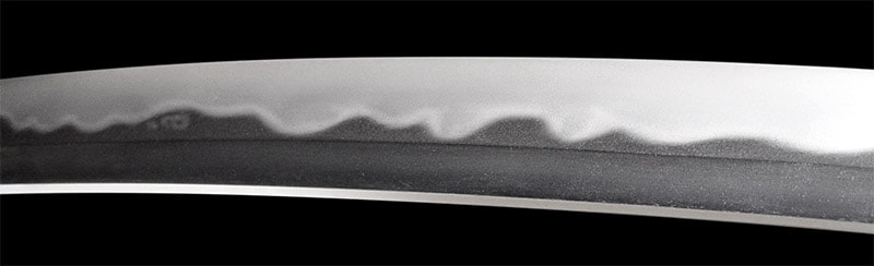 日本刀 ¤ 脇差 ¤ 和泉守藤原国貞 ¤ 上作 ¤ 大業物 - 写真9