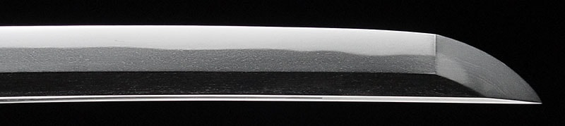 藤田近江守藤原継平造 - Photo 7