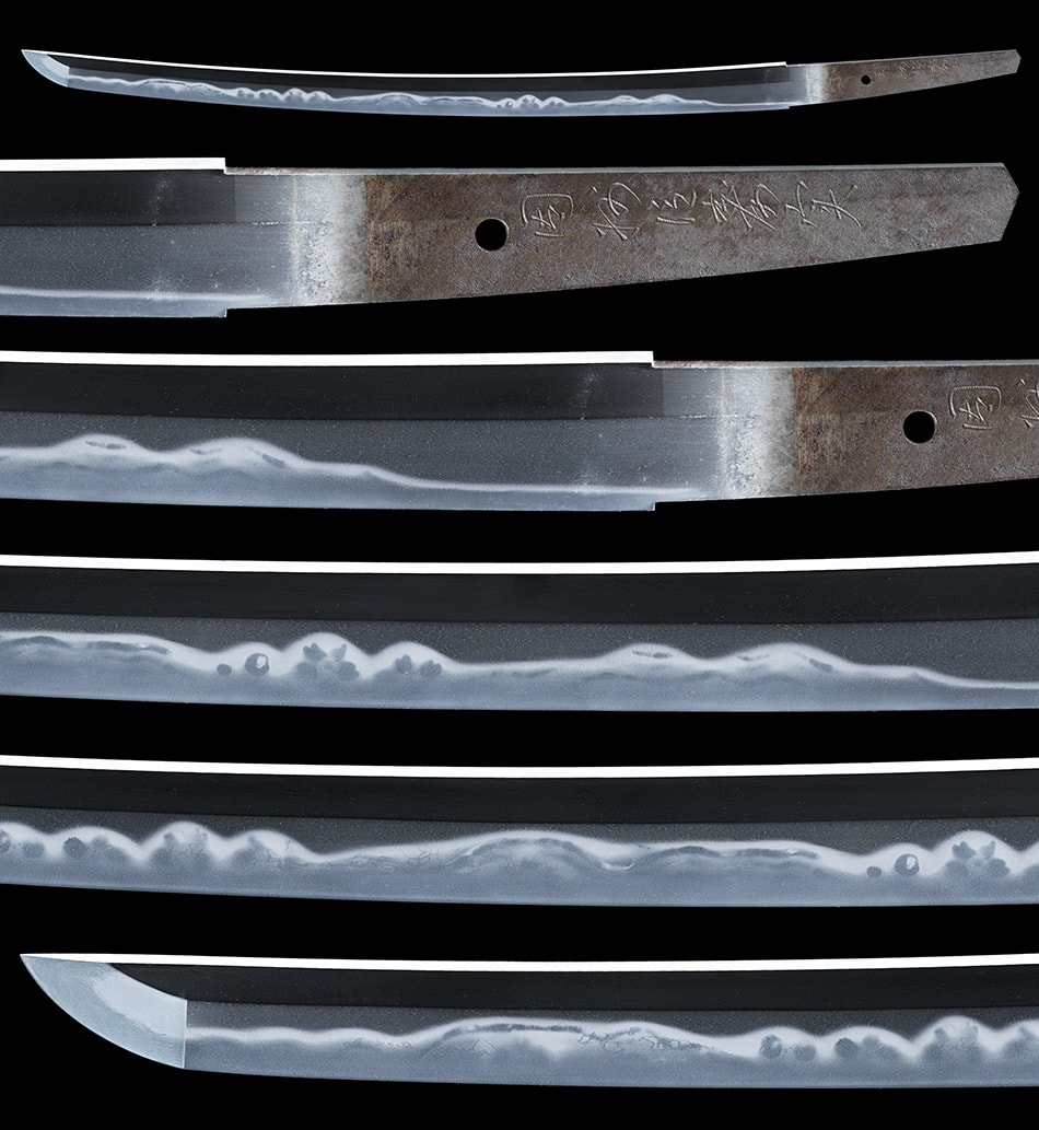 Wakizashi [Insyu-jyu Toshizane] [N.B.T.H.K] Hozon Touken - Photo 4