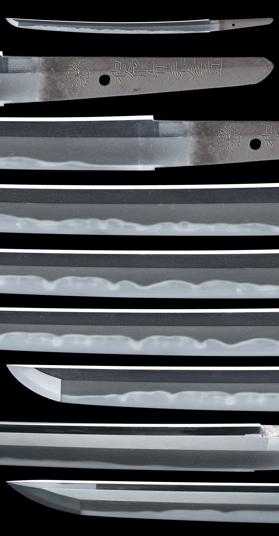 Wakizashi [Izumi-no-kami Rai Kinmichi(3rd generation)][N.B.T.H.K] Hozon Token - Photo 4