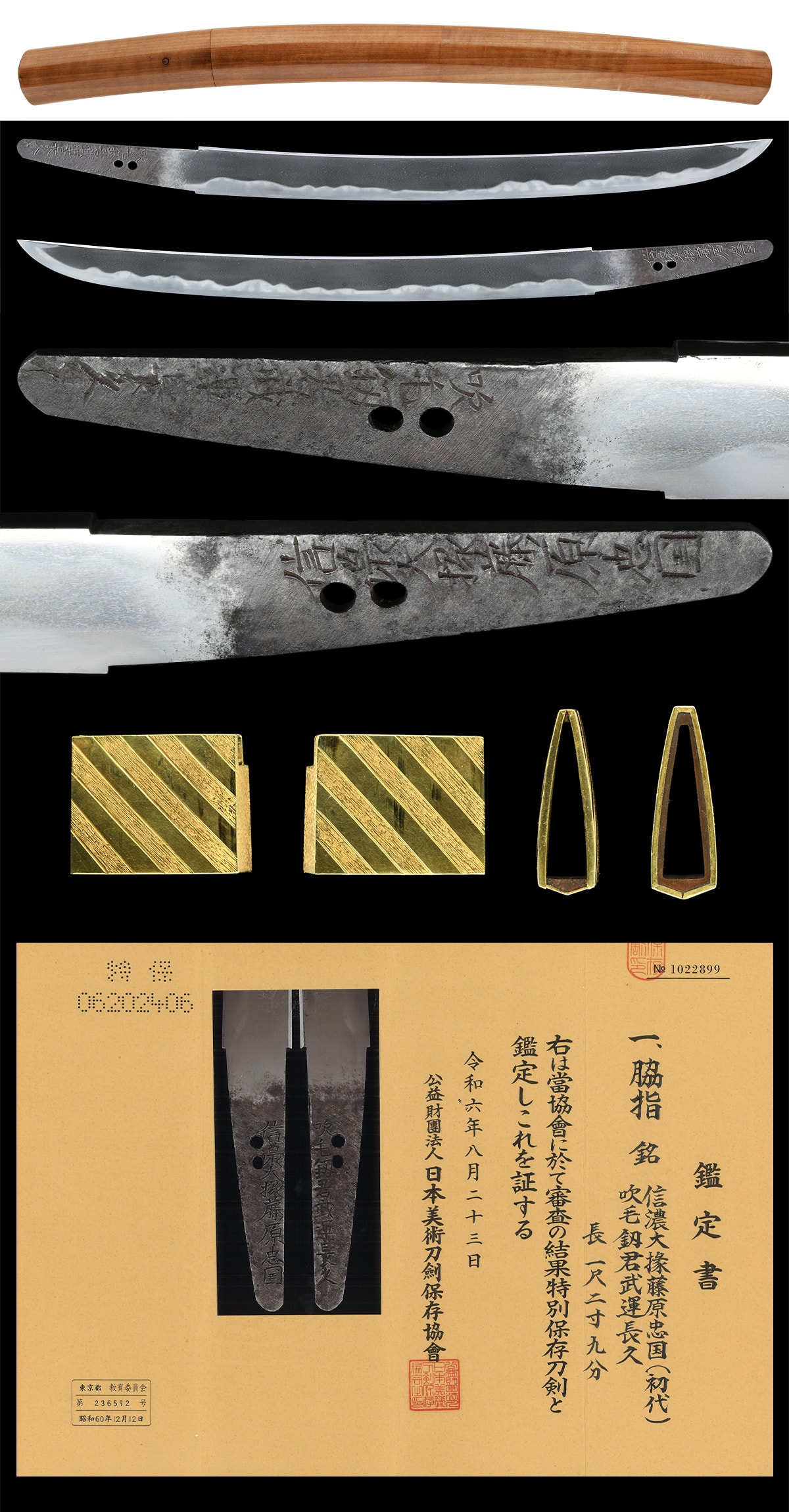 Wakizashi[Shinano-Daijo Fujiwara Tadakuni(1st generation)(wazamono)][N.B.T.H.K]Tokubetsu Hozon Token - Photo 5