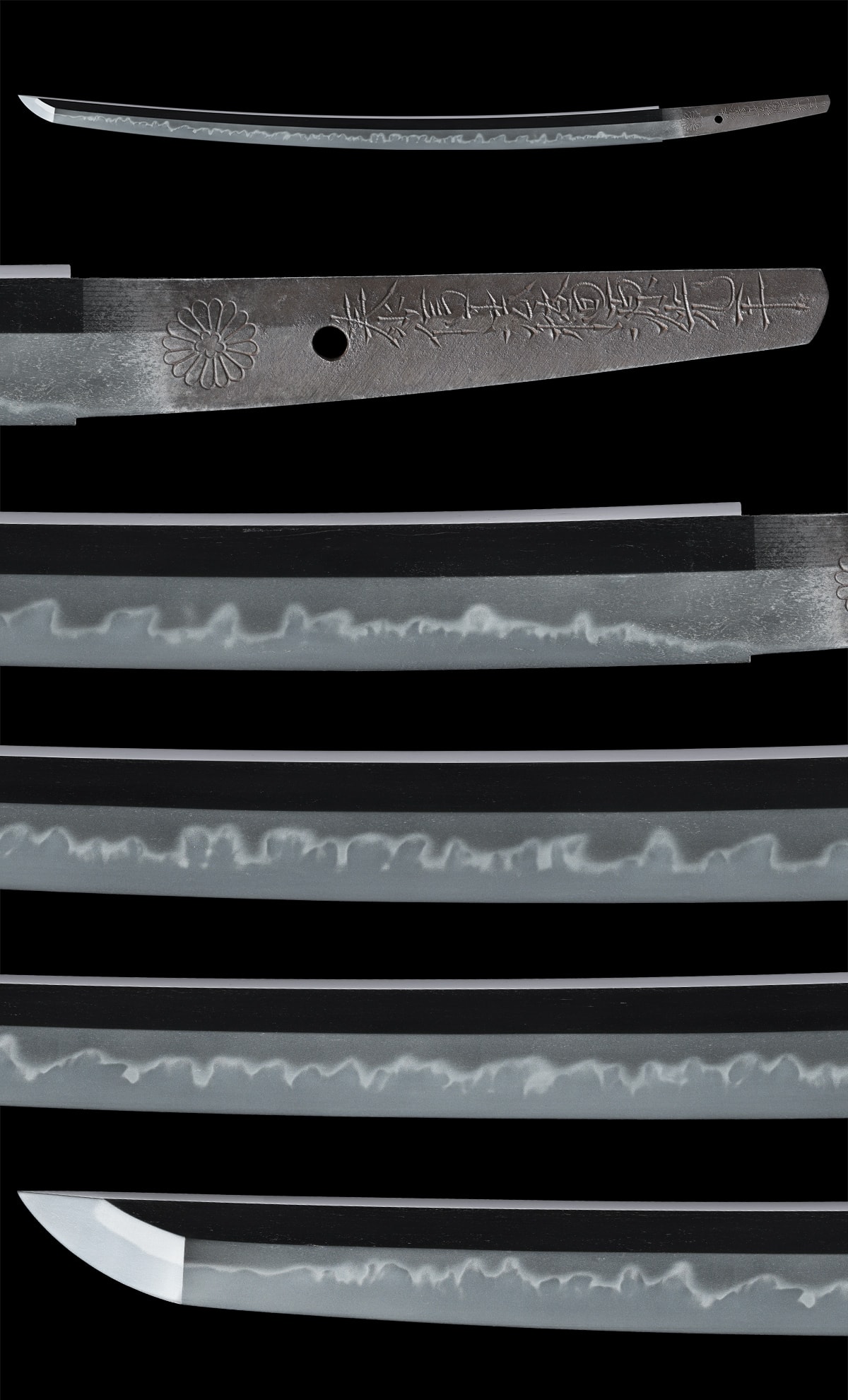 Wakizashi [Taishin Hokkyo Minamoto Mitsuhira (Heki Mitsuhira)(Yoki-Wazamono)] [N.B.T.H.K] Tokubetsu Hozon Token - Photo 4