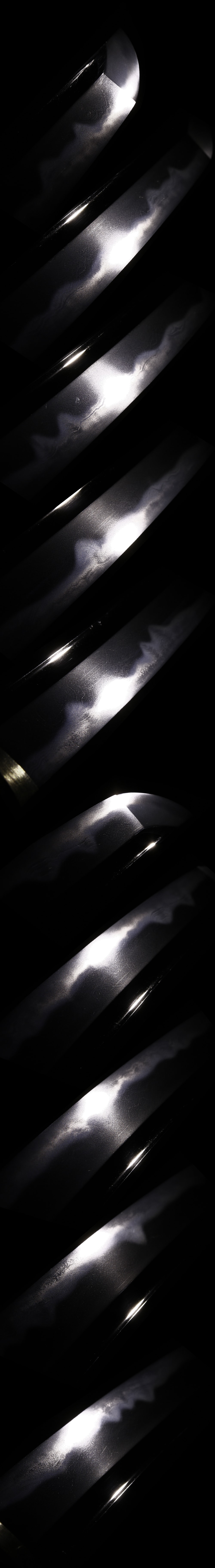 Katana:Ho-ki Kami Taira Ason Masayuki(NBTHK Tokubetsu Hozon Token) - 写真3