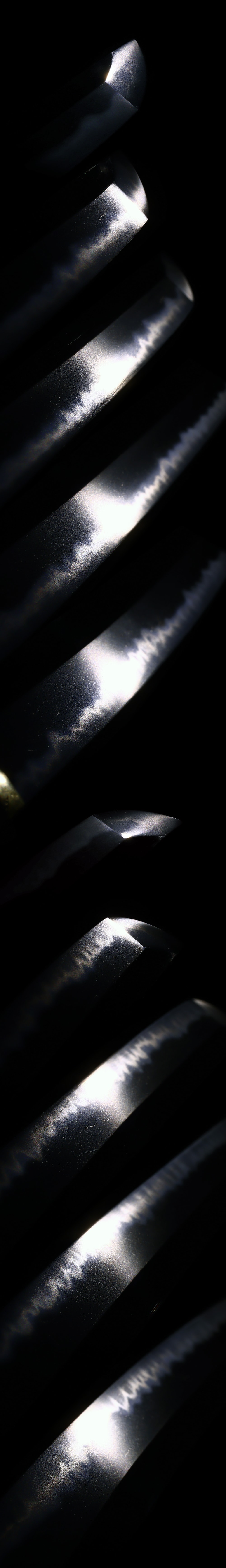 Katana:Soushi Chikuzen Daijo Taikei Naotane(Kao)(NBTHK Tokubetsu Hozon Token) - Photo 3