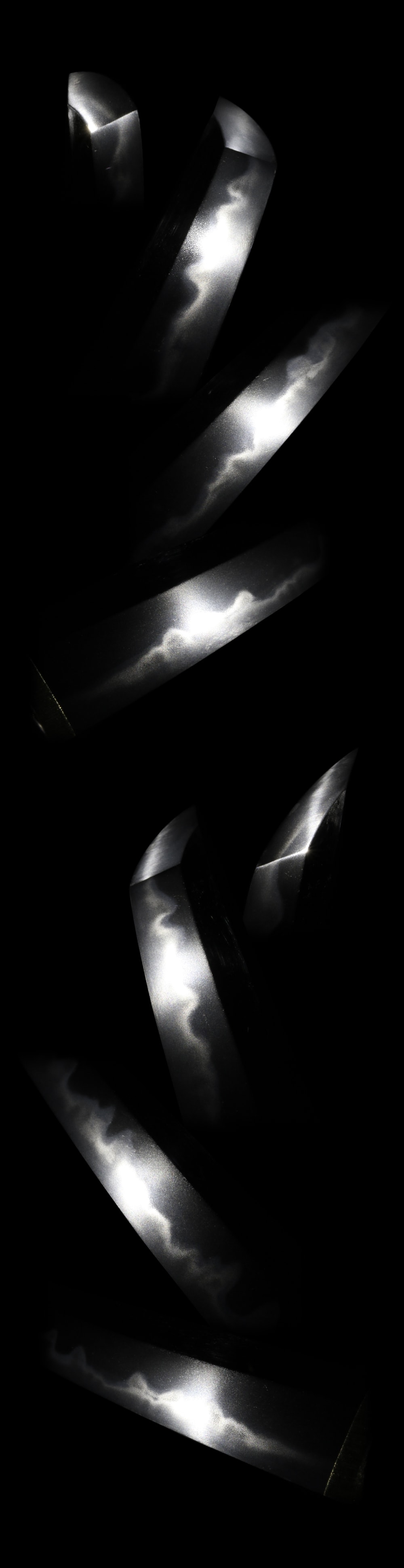 Wakizashi: Sakura Gonnoshin Terukane (NBTHK Tokubetsu Hozon Token) - 写真3