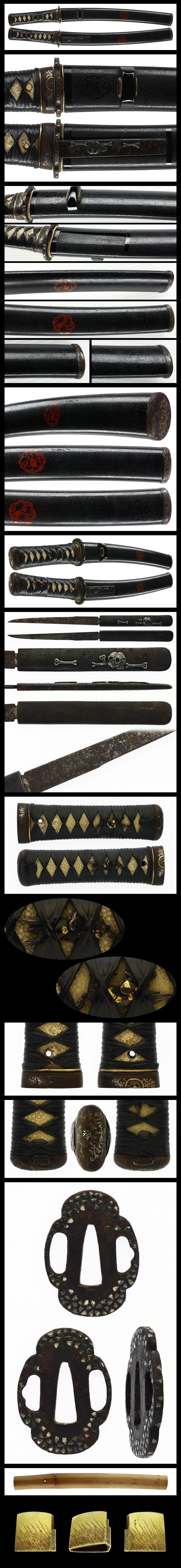 Tanto:Nobukuni (Chikushi) (NBTHK Hozon Token) - Photo 4