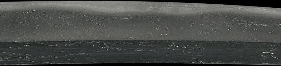 伝尻懸（大和）（長巻直） Den Shikkake - Photo 4