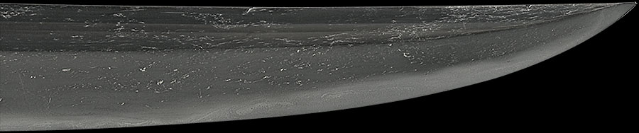 伝尻懸（大和）（長巻直） Den Shikkake - Photo 8