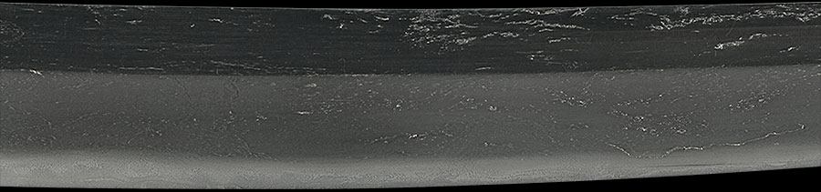 伝尻懸（大和）（長巻直） Den Shikkake - Photo 9