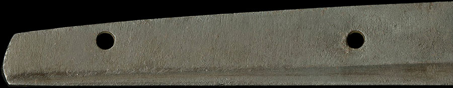 伝基光 Den Motomitsu - Photo 8