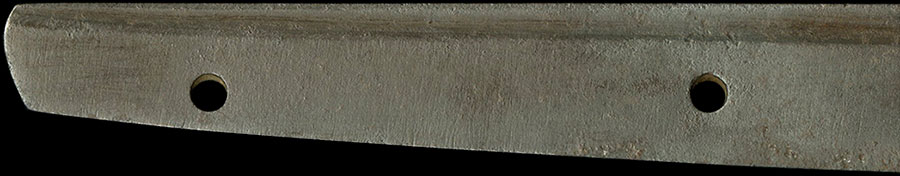 伝基光 Den Motomitsu - Photo 14