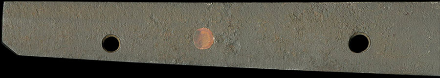 伝尻懸（大和） Den Shikkake(Yamato) - Photo 14