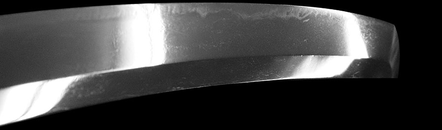 伝尻懸（大和） Den Shikkake(Yamato) - Photo 15