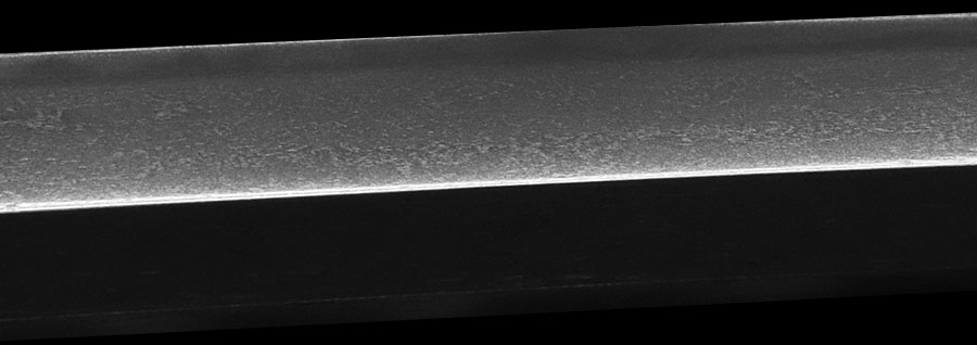 伝尻懸（大和） Den Shikkake(Yamato) - Photo 18