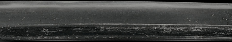 伝宝寿 Den Houju - Photo 4