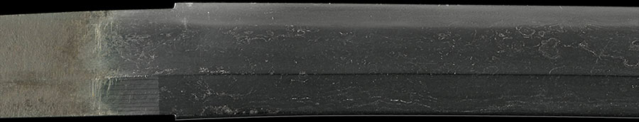 伝青江 Den Aoe - Photo 7