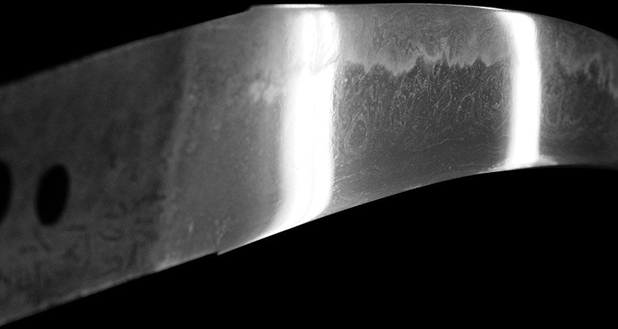 濃州関住泉守兼定 Noushu Sekiju Izuminokami Kanesada - Photo 12