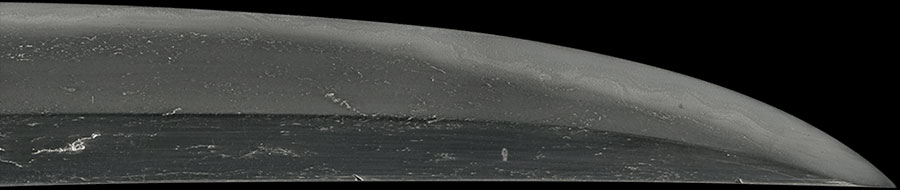 伝尻懸（大和）（長巻直） Den Shikkake - Photo 3