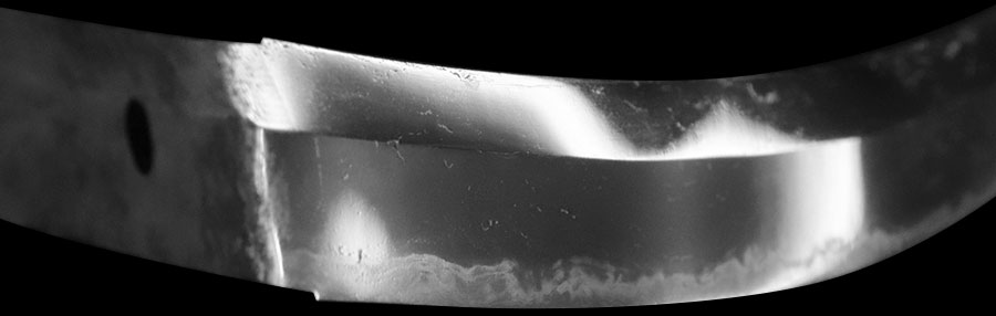 伝尻懸（大和）（長巻直） Den Shikkake - Photo 18