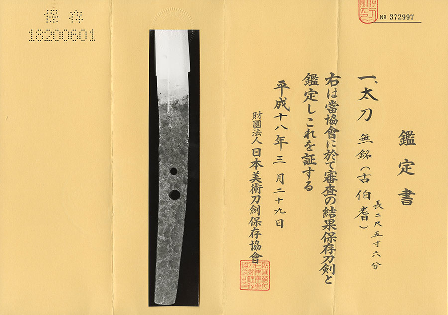 無銘 古伯耆（ほぼ生の太刀姿） Kohoki - Photo 21