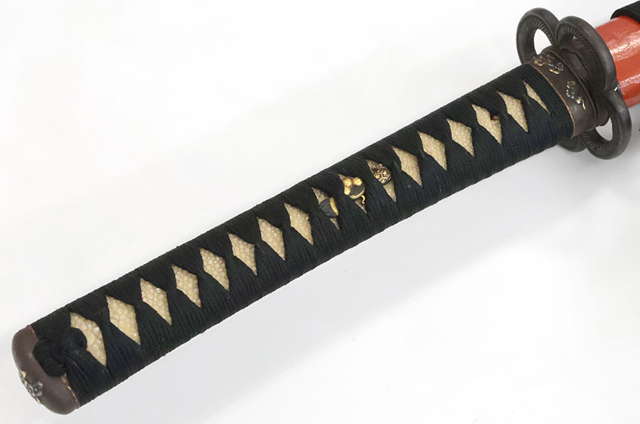 三品丹後守藤原兼道 菊一（菊一文字） Mishina Tangonokami Fujiwara Kanemichi - Photo 27