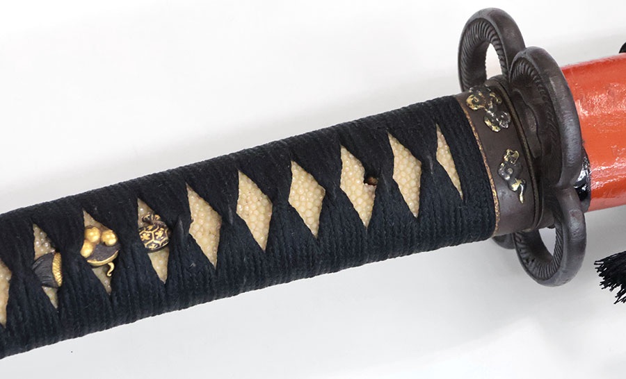 三品丹後守藤原兼道 菊一（菊一文字） Mishina Tangonokami Fujiwara Kanemichi - Photo 28