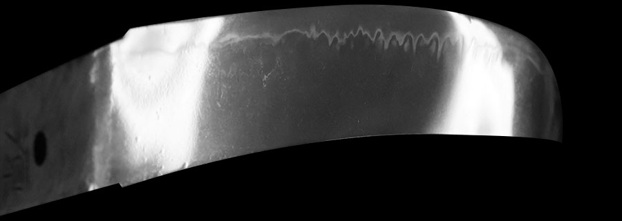 源清麿 嘉永二年二月日（希） Minamoto Kiyomaro - Photo 9