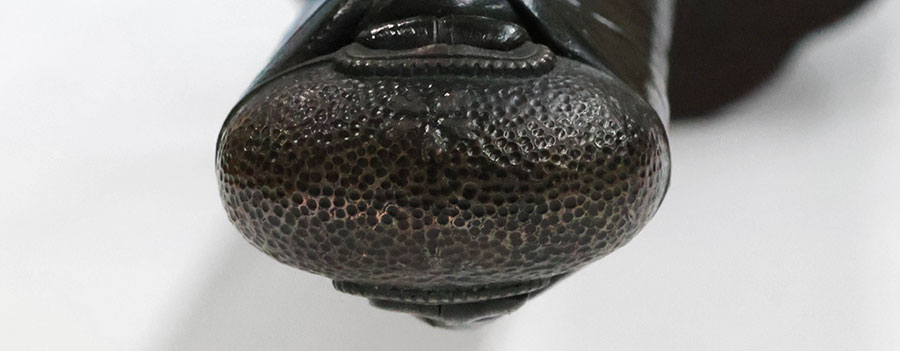 雲州住貞法作之 平成五年十二月日（福岡一文字写） Unshuju Sadanori - Photo 28