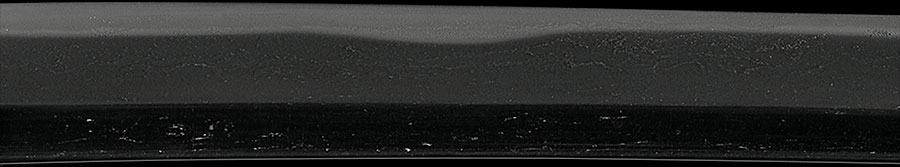 伝尻懸（大和） Den Shikkake(Yamato) - Photo 6