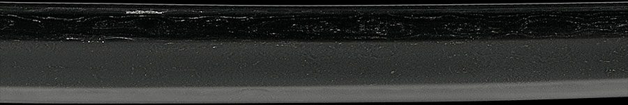 伝尻懸（大和） Den Shikkake(Yamato) - Photo 10