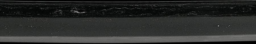 伝尻懸（大和） Den Shikkake(Yamato) - Photo 11